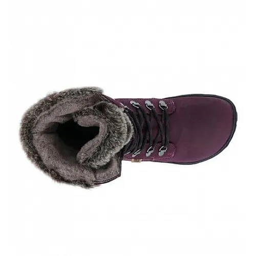Koel боси боти Levi Tex Lambswool - агнешка вълна, лилави 